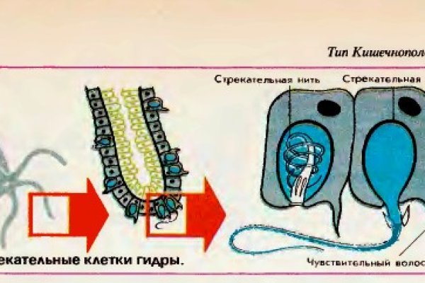 Кракен официальный сайт ссылка