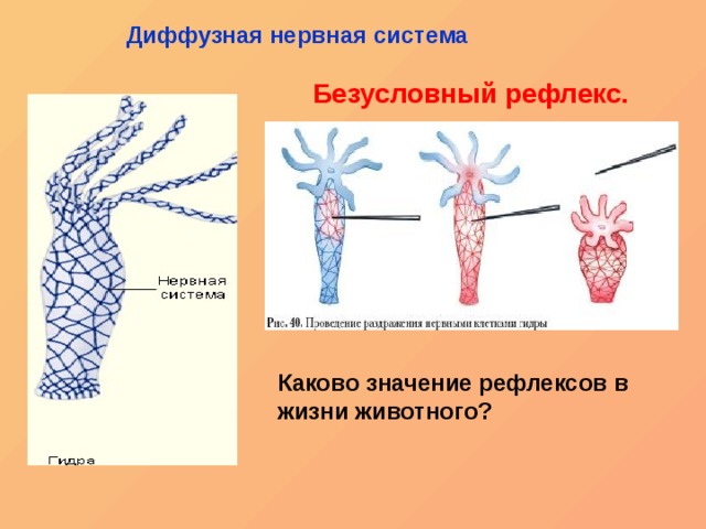 Как найти кракен шоп
