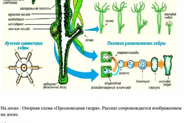 Кракен маркетплейс вход
