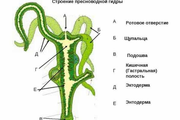 Как зайти на kraken в 2024