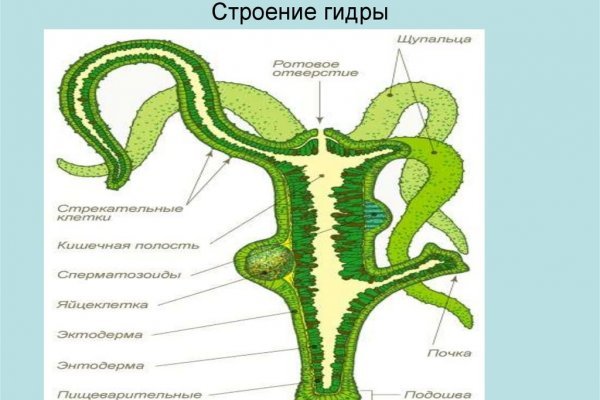 Адрес сайта кракен