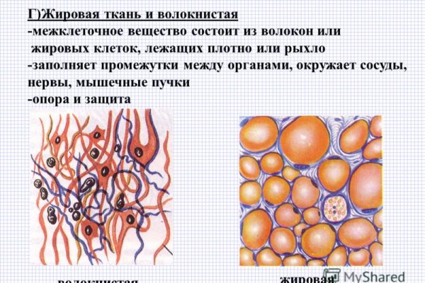 Ссылки тор браузер